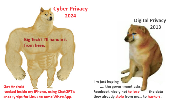 Swole Doge vs Cheems Cyber Privacy 2024